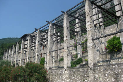 Gargnano Zitronengewächshäuser