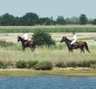 A cavallo sulle coste al lago di Garda